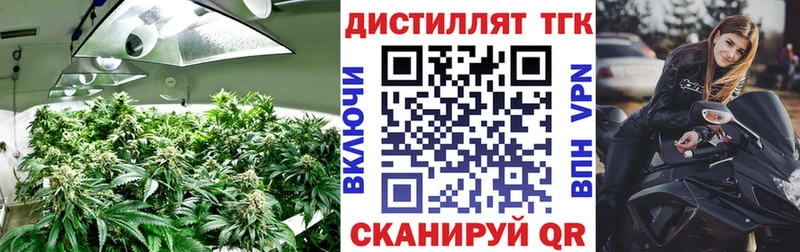 Купить где  Ивдель  ТГК гашишное масло 