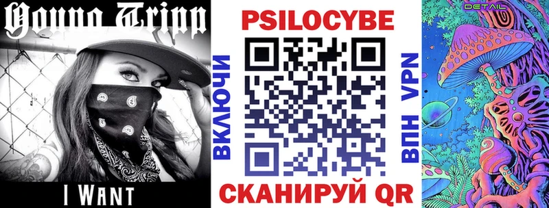 Псилоцибиновые грибы Psilocybine cubensis Ивдель